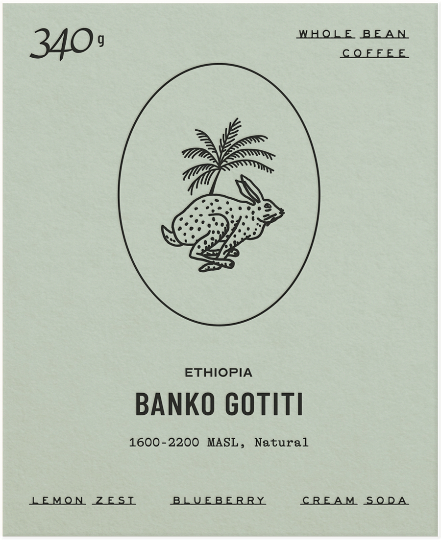 Ethiopia Banko Gotiti